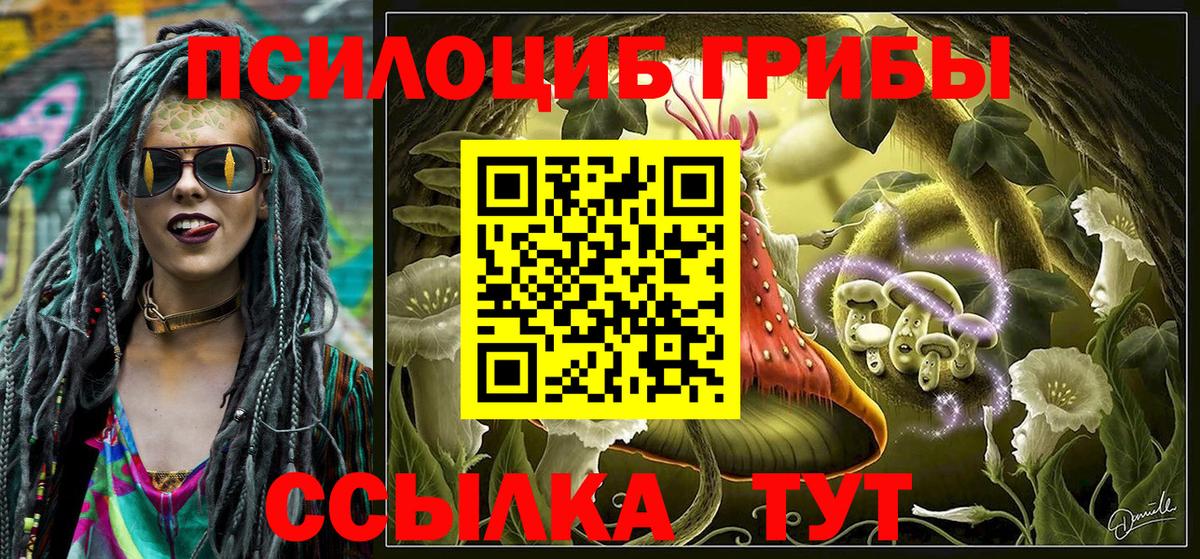 Псилоцибиновые грибы прущие грибы Людиново