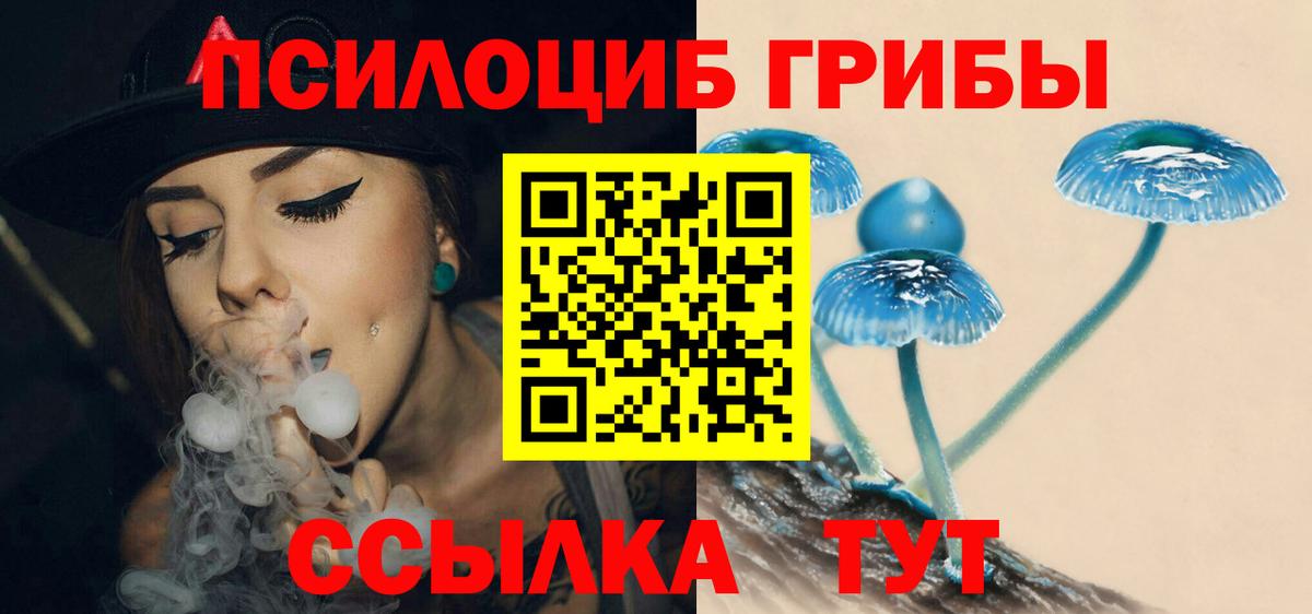Псилоцибиновые грибы Psilocybe  Псилоцибиновые грибы Cubensis  Вход с VPN  Людиново 